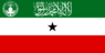 Flag of the President of Somaliland.svg