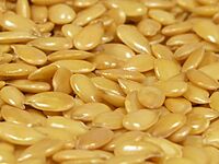 Archivo:Flax seeds