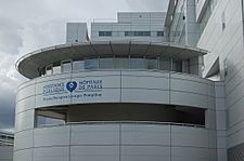 Hôpital européen Georges-Pompidou logo.JPG