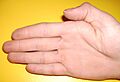 Hand zur Stifneckabmessung