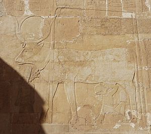 Archivo:Hatshepsut temple5