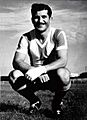 Herminio Masantonio