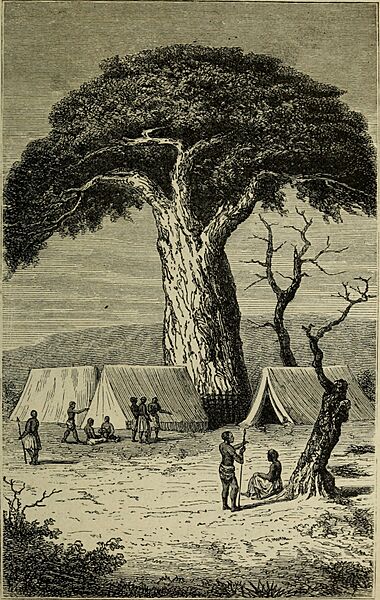 Les sources du Nil, voyage des capitaines Speke and Grant; abrégé d'après la traduction de E.D. Forgues (1867) (14593581208)