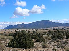 Mojantes Caravaca de la Cruz cara NO