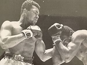 Muhammad Ali vs. Ernie Terrell 1967 AP photo.jpg