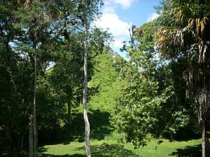 Archivo:Mundo Perdido pyramid 5C-54, east face, Tikal