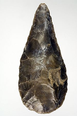 Museo Arqueológico Nacional - 1942-101-4-4723 - Bifaz del Manzanares 01.jpg