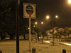 Archivo:Nieve en Buenos Aires 9 de julio de 2007