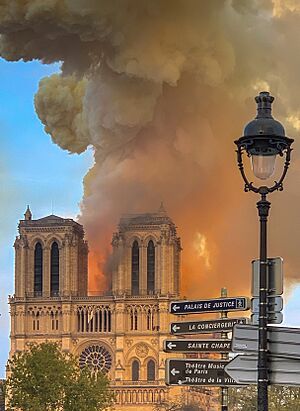 Archivo:Notre Dame on fire 15042019-1 (cropped)