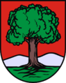 POL Wałbrzych COA