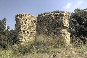 Archivo:Pau - Castell de Vilaüt