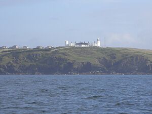 Archivo:Phare du cap Lizard-1
