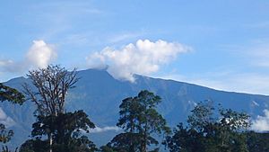 Archivo:Pico Basilé