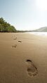 Playa Tambor