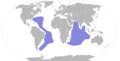 Pterodroma arminjoniana map