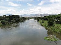 Archivo:Río Cauca. Puente Anacaro (3). Cartago - Ansermanuevo, Valle, Colombia