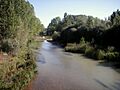 Río Cea