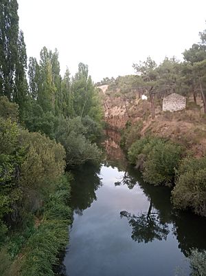 Archivo:Río Eresma en Constanzana