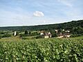 Reuilly-Sauvigny