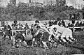 Rugby Madrid 1925