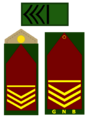 SM2GNB
