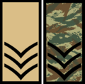 SM3MNB