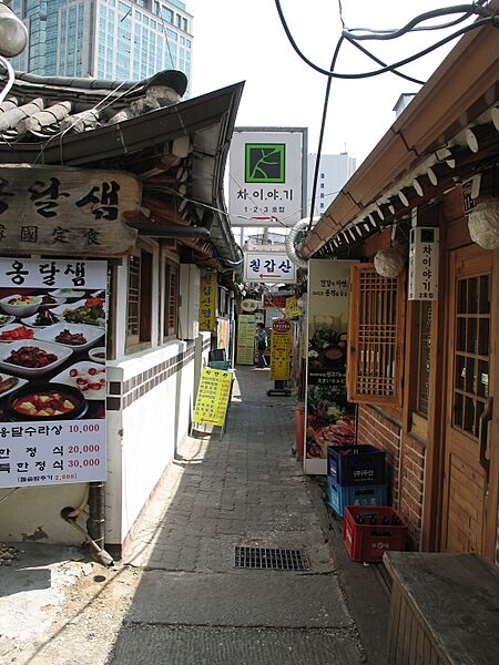 Seoul-Insadong-A restaurant entrance-03
