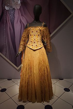 Archivo:Star Wars and the Power of Costume July 2018 59 (Padmé Amidala's meadow picnic dress from Episode II)