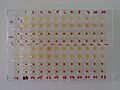 TPHA test on microplate wells