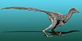 Tianyuraptor NT