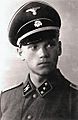 Torni lauri
