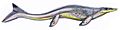 Tylosaurus-proriger