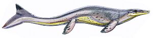 Archivo:Tylosaurus-proriger