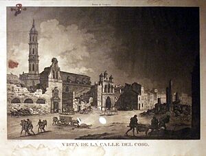 Archivo:Vista de la calle Coso