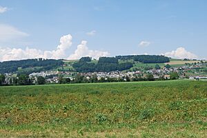 Archivo:Wauwil 031