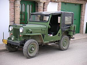 Archivo:Willyjeep01