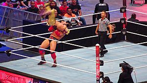 Archivo:WrestleMania 32 2016-04-03 16-57-26 DSC-HX90V 2815 DxO (27652107451)