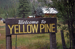 Yellow Pine sign.tif