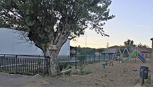 Archivo:Árbol y Parque infantil en Gallegos de Curueño