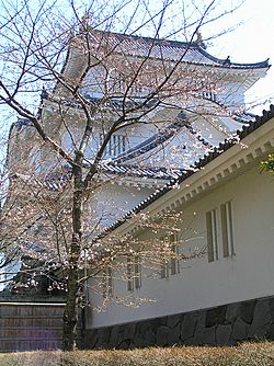サクラ咲く頃の大多喜城P1010051.jpg