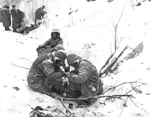 Archivo:1st Marine Division at Chosin Reservoir in Korea, December 1950
