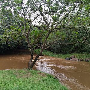 Archivo:Arroyobolascua