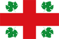 Bandera de Casaseca de las Chanas.svg