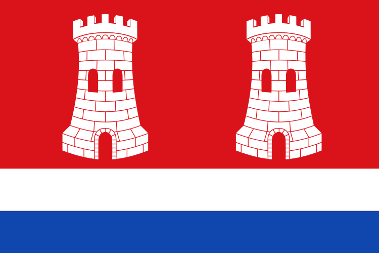 Bandera de Castrogonzalo
