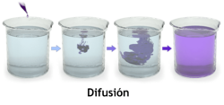 Archivo:Blausen 0315 Diffusion-es