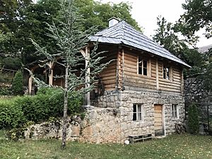 Archivo:Born House of Gavrilo Princip in Obljaj, BiH 6