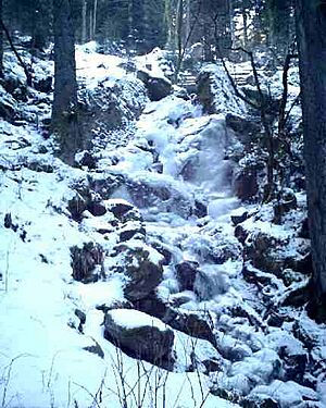 Archivo:Cascades du Stolz Ablass