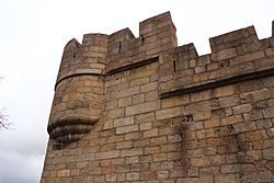 Archivo:Castillo de Puebla de Sanabria (6987753746)