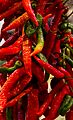 Chillies (5836608885)