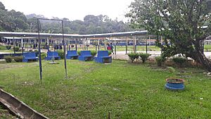 Archivo:Colegio de kusapin